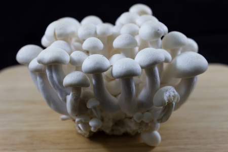 Beech Mushrooms , White Shimeji mushroom on blackの写真素材