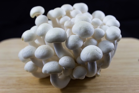 Beech Mushrooms , White Shimeji mushroom on blackの写真素材