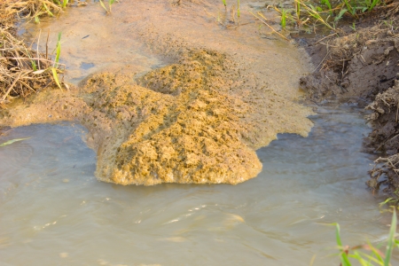 Bubbles of wastewater in rice  paddyの写真素材