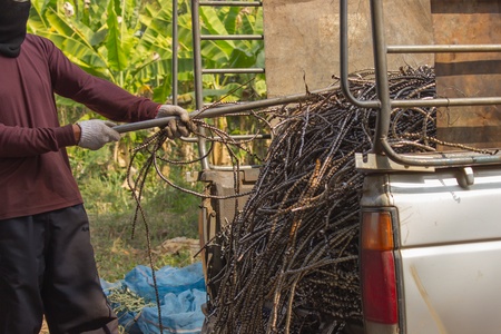Thai people pull leftover of iron surplus in pickup truck の写真素材