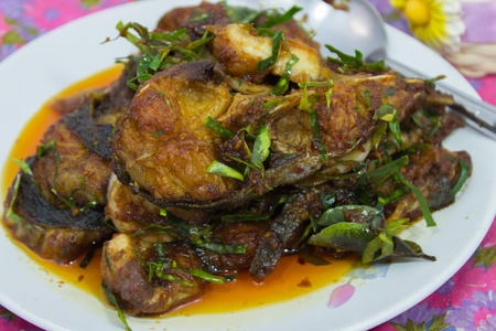 Choo Chee Pla  Curry-Fried Fish Thai Cuisine  Spicy curry,Ingredients   fish,vegetables,thai herb の写真素材