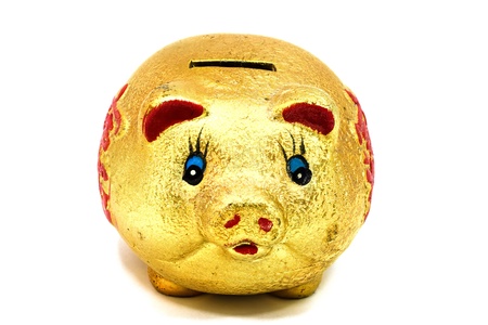 Piggy bank on a white background の写真素材