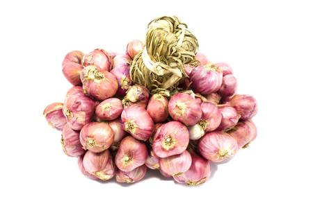 Shallots on white background の写真素材