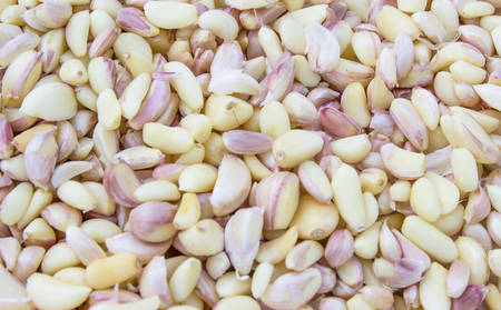 Garlic  isolated on white backgroundの写真素材