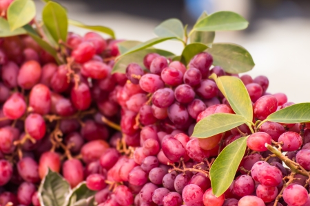 Red Grape in Thai marketの写真素材