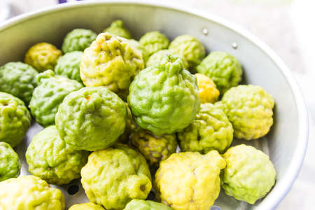 The kaffir lime, sometimes referred to in English as the makrut lime, is a fruit native to Indochinese and Malesian ecoregions in India, Nepal, Philippines, Bangladesh, Indonesia, Malaysia and Thailand, and adjacent countries.の写真素材