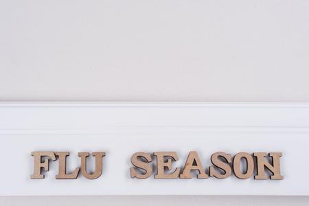 Word FLY SEASON abstract wooden letters, white background copy spaceの写真素材