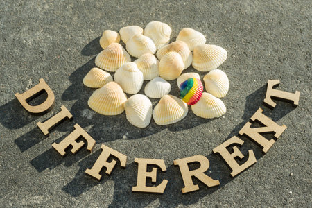 Rainbow shell on the background of white shells and the word Different.
