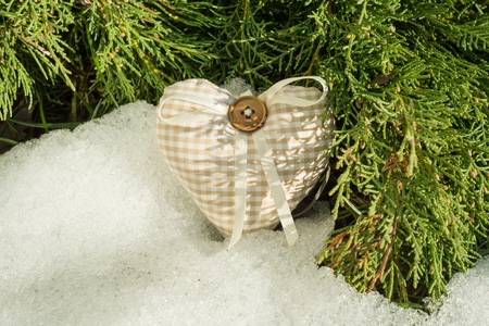 Spring is close. A snow-melting snow background with green cypress branches with a handmade heart.の写真素材