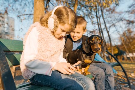 Smiling children boy and girl sitting on bench in the park with dog dachshund, children best friends laugh, look at the smartphone, the golden hour.の写真素材