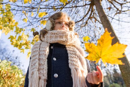 Portrait of child girl under maple tree, background autumn sunny park, yellow leaf fallの写真素材