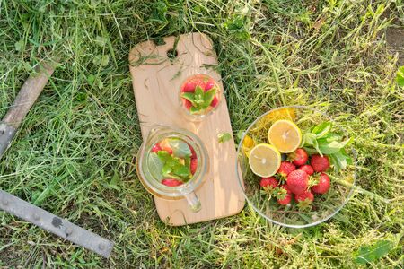 Summer refreshing natural homemade drinks, jug and glass of herbal tea with strawberries mint lemon on the grass, nature garden background, healthy lifestyle and food, golden hourの写真素材