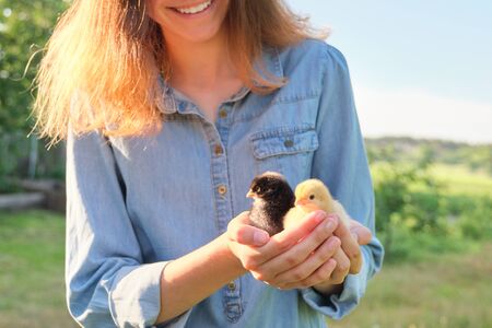 Country rustic style, Beautiful smiling teen girl with newborn baby chickens. Nature, farm, healthy lifestyle and food, golden hourの写真素材