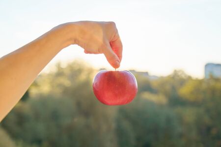 One red apple in a hand close-up, nature sunset sky background.の写真素材