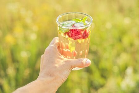 Summer natural refreshing drink with mint strawberries in woman hand, background nature green grass on sunny dayの写真素材