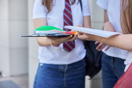 Close up group of students. Outdoor girl with books, notebooks. Education people concept, school, college, universityの写真素材