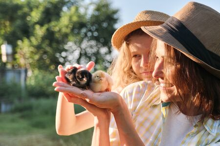 Happy family mother with daughter in nature, woman holding small newborn baby chicks in hands, farm, country rustic style, background grass garden, golden hourの写真素材