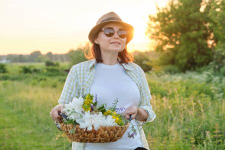 Mature woman walking with a basket and flowers in a summer meadow, golden hour.の写真素材