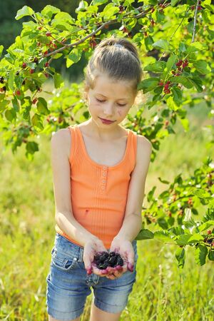 Ripe mulberries berries in hand of little girl, child on nature near tree with mulberry crop, vitamins organic healthy food in summer seasonの写真素材