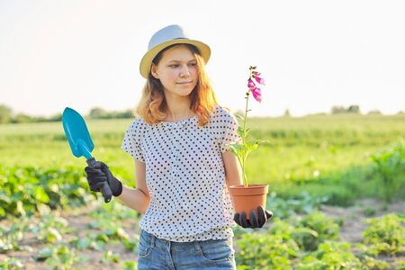 Portrait of beautiful gardener girl in gloves hat with flowering potted plant and garden shovel, background spring summer rural landscape, golden hourの写真素材