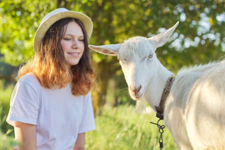 White domestic farm goat on the lawn with teenage girl, girl and animal friendship. Summer scenic sunset landscapeの写真素材