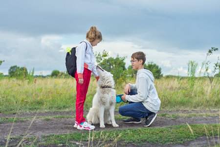 Children walking with white dog in meadow on autumn day, owners boy and girl with pet on nature