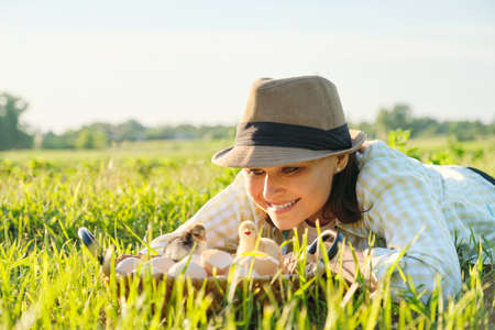 Basket with newborn chickens, happy woman in hat looking baby chicks, sunny spring summer day in garden on farm, grass background, copy spaceの写真素材