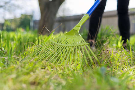 Spring cleaning in the garden, closeup rake cleaning green grass from dry grass and leavesの写真素材