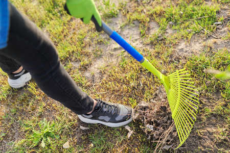 Spring cleaning in the garden, closeup rake cleaning green grass from dry grass and leavesの写真素材