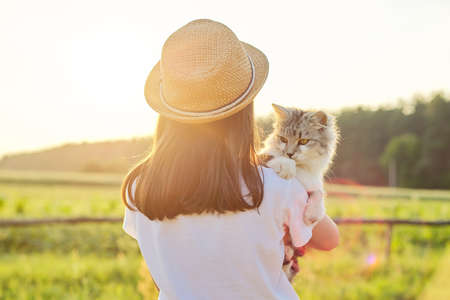 Child girl in hat with gray fluffy cat in her arms. Beautiful sunset country landscape background, back viewの写真素材