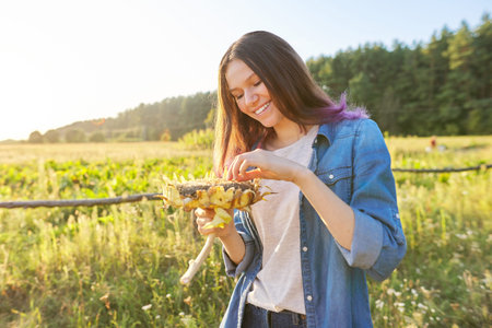 Teen girl with ripe sunflower plant. Autumn natural landscape background, sunset, golden hour, copy...