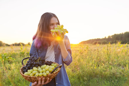 Beautiful smiling teenager girl with basket with crop of green and blue grapes, female on background of natural country landscape, sunset, copy spaceの写真素材