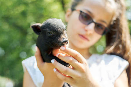 Girl child holding in hands of black newborn baby piglet. Farm, agriculture, country, pets, children conceptの写真素材