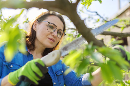 Spring pruning of trees and bushes in garden. Woman gardener in gloves with garden saw cuts branches, forms fruit tree, cleans dry branches. Hobby, gardening, farm conceptの写真素材