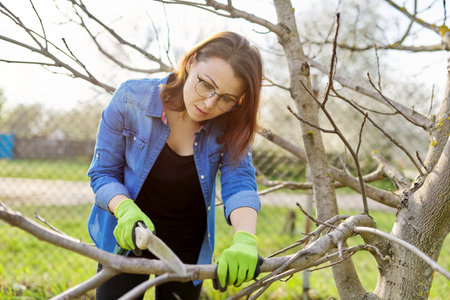 Spring pruning of trees and bushes in garden. Woman gardener in gloves with garden saw cuts branches, forms fruit tree, cleans dry branches. Hobby, gardening, farm conceptの写真素材