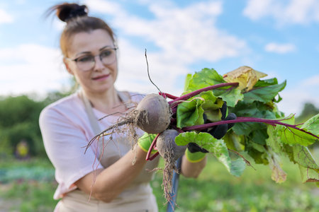Woman farmer with fresh beets at farm, beetroots with leaf, sunny summer vegetable garden blue sky background. Healthy, organic, natural food conceptの写真素材