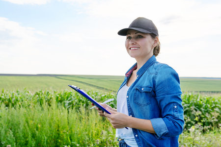 Agricultural worker woman with working folder in green corn field, female working on farm, analyzes...