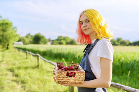Smiling teen girl with strawberries in basket, garden nature background, healthy natural organic vitamin food, strawberry season, copy spaceの写真素材