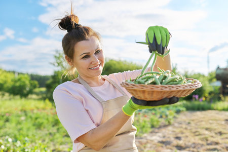 Woman gardener farmer with basket of fresh green string beans, harvest natural healthy organic food, summer vegetable garden backgroundの写真素材