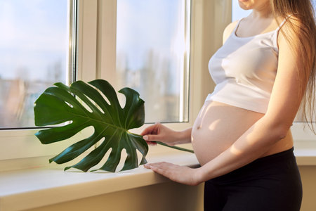 Beautiful pregnant young woman with open tummy standing at home near the window holding green leaf...