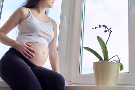 Motherhood, pregnancy, happiness, joy, happy beautiful young pregnant woman dreamily looking out the home window, copy spaceの写真素材