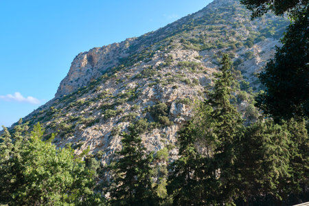 Mountain hill with green trees, summer blue sky, nature, mountains of Greece Cyprus.の写真素材