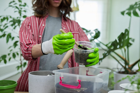 Teenage guy transplanting houseplants, preparing the soil with perlite vermiculite