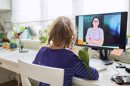 Child preteen girl studying at home using video lesson on computerの写真素材