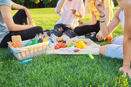 Close-up food and drink for a picnic on green grassの写真素材