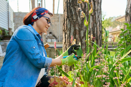 Middle aged woman caring for flower bed in backyard uses tools, garden shears