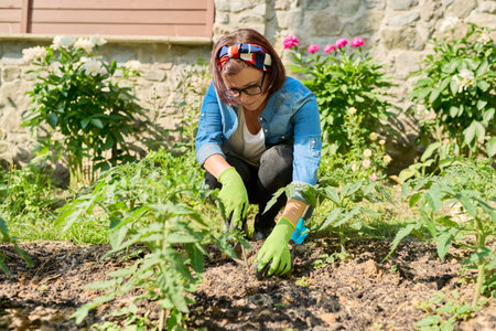 Woman caring for young tomato plants seedlings in a greenhouse in a spring garden.