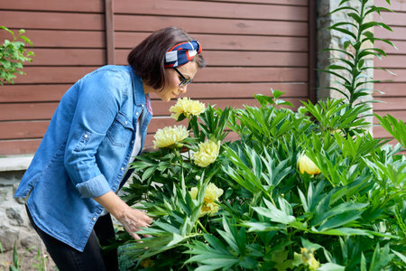 Middle aged woman enjoying touching yellow flowers on peony bush