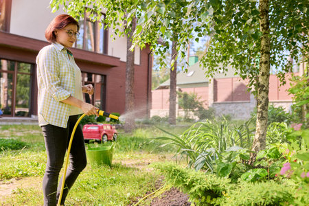 Woman watering a flower bed in the garden using a hoseの写真素材
