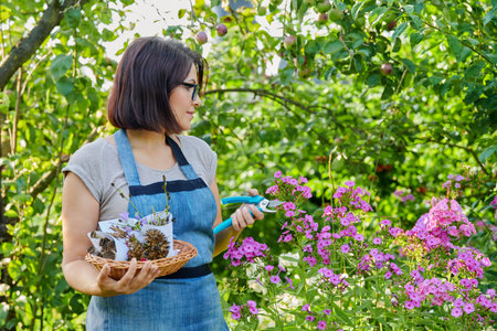 Woman in summer garden with collected dried flowers plant seeds in basket